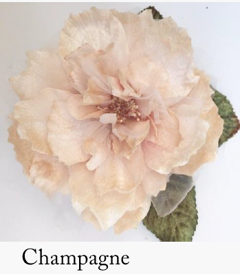 CABBAGE ROSE CHAMPAGNE