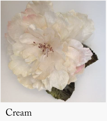 Cabbage Rose Cream